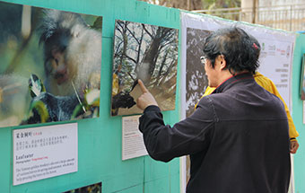 国宝滇金丝猴摄影图片展