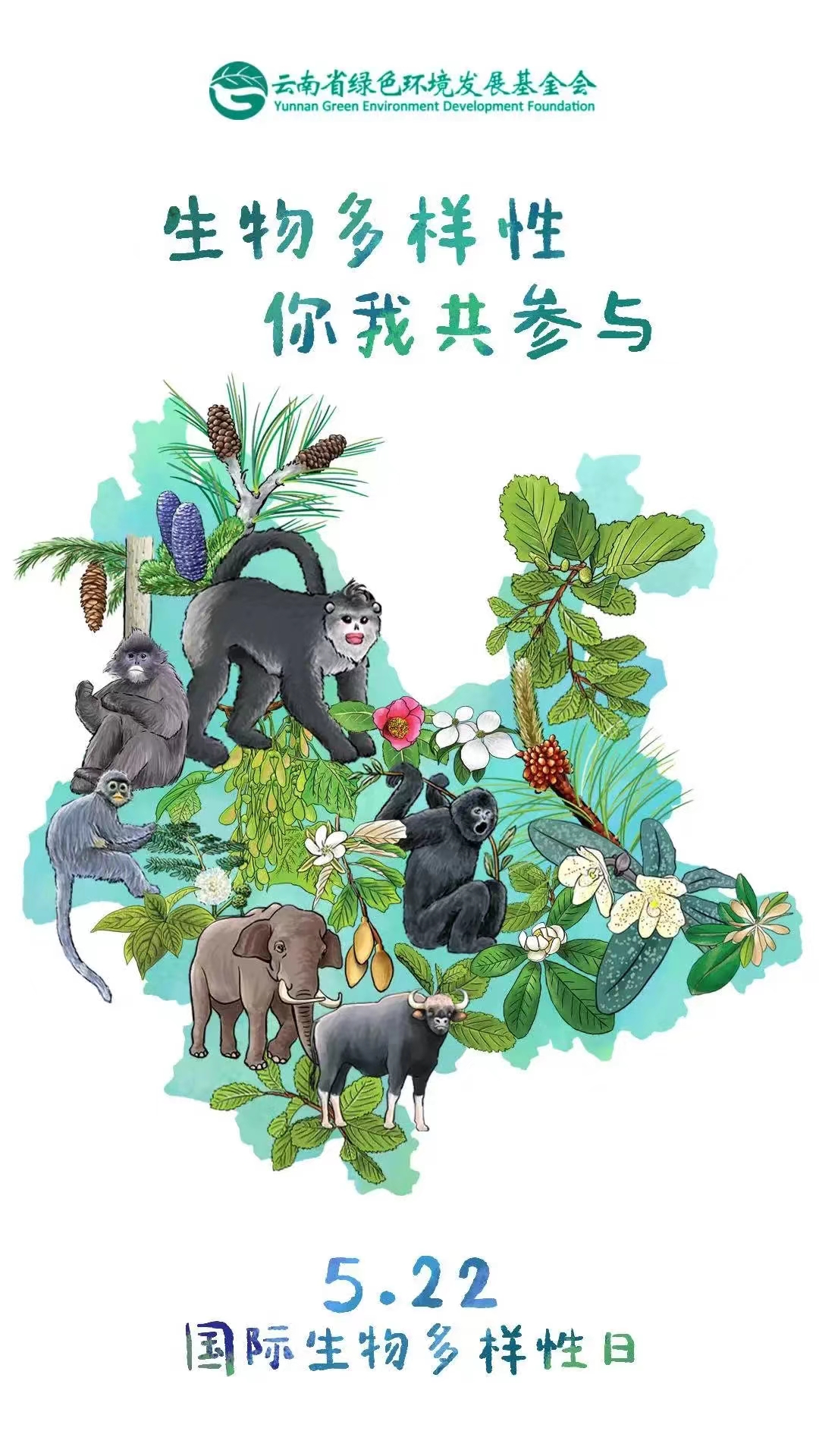 国际生物多样性日 | 生物多样性，你我共参与