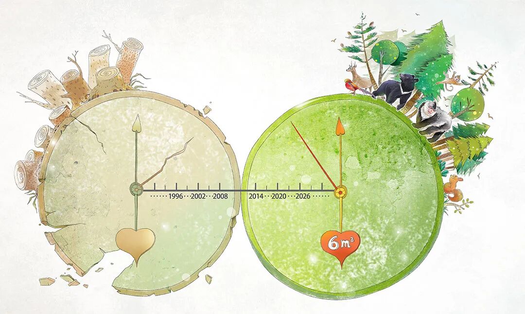 植树节特别行动 | 6㎡森林的起点：以公益之力织就云南生态画卷