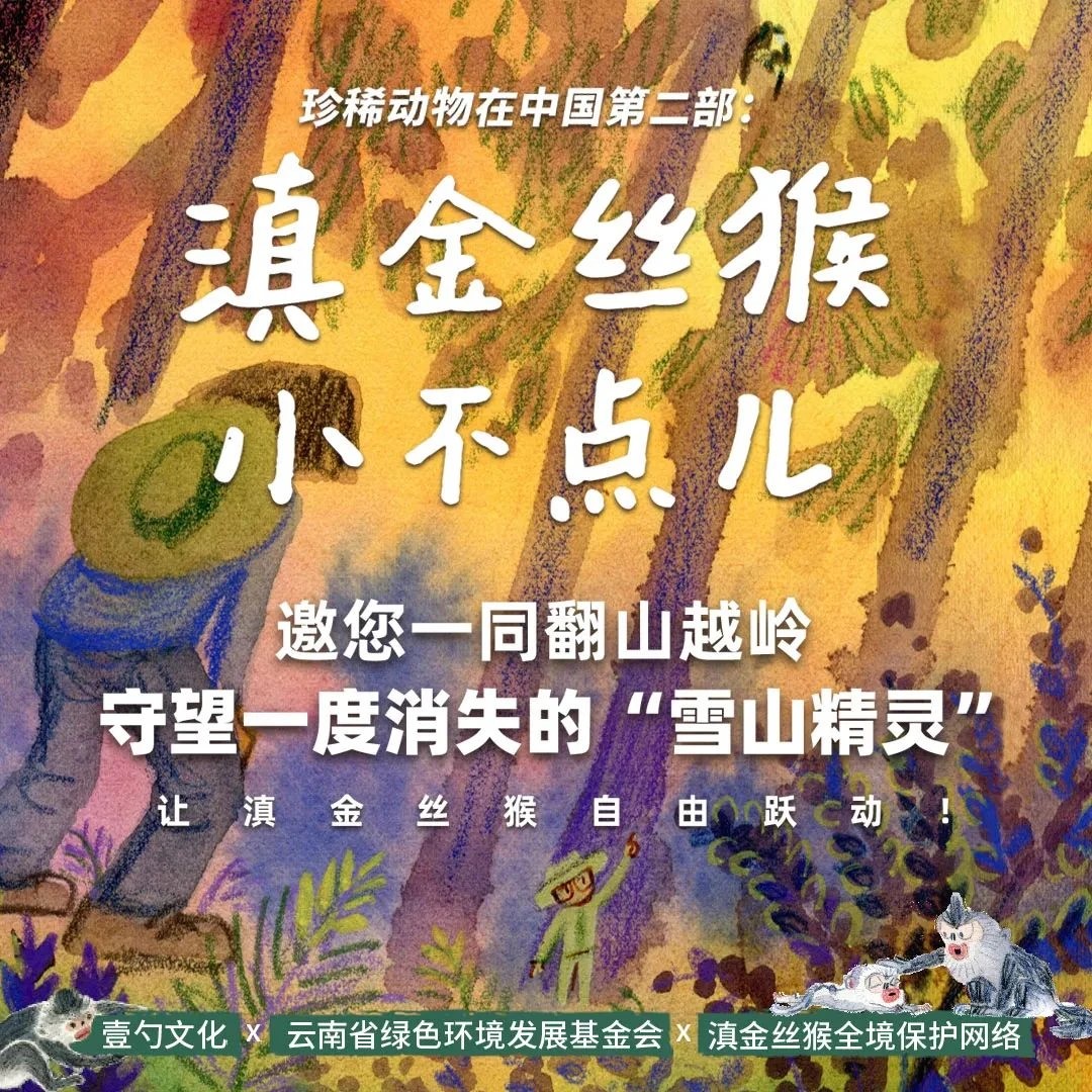 启幕 | 滇金丝猴全境保护网络+禾邻社“童话乡•山野美育”驻地计划启动暨庆祝第七个“金丝猴日”！