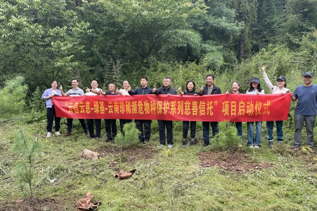 全国生态日 | 云南珍稀濒危物种保护慈善信托助力滇金丝猴保护
