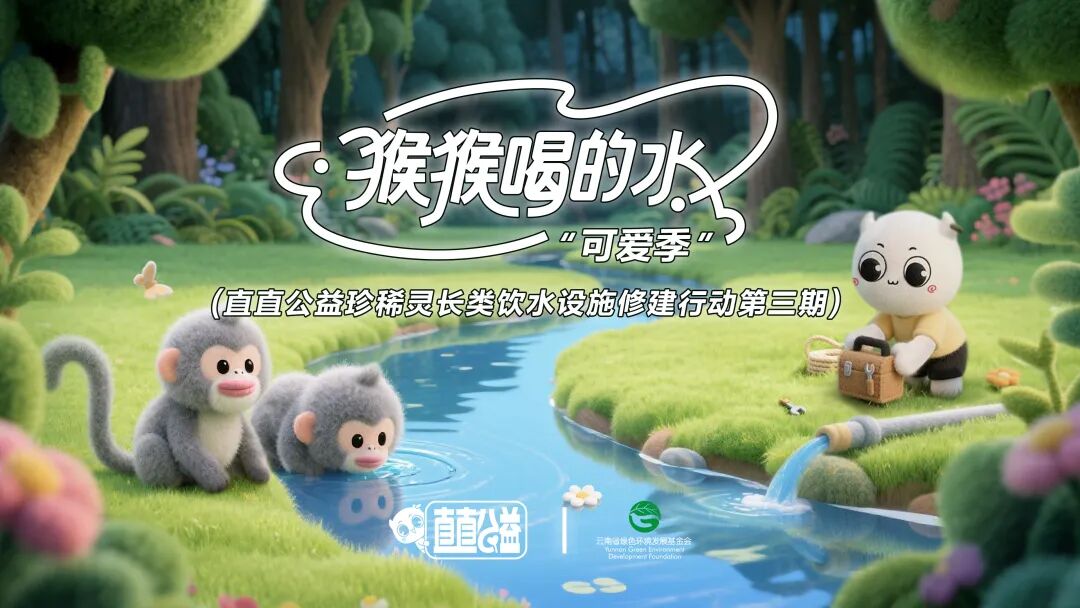 猴猴喝的水第三季 ▏与直直公益合作再建饮水设施，解决猴猴旱季缺水问题