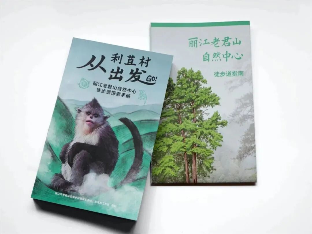 云南省绿色环境发展基金会2025年第一季度简报